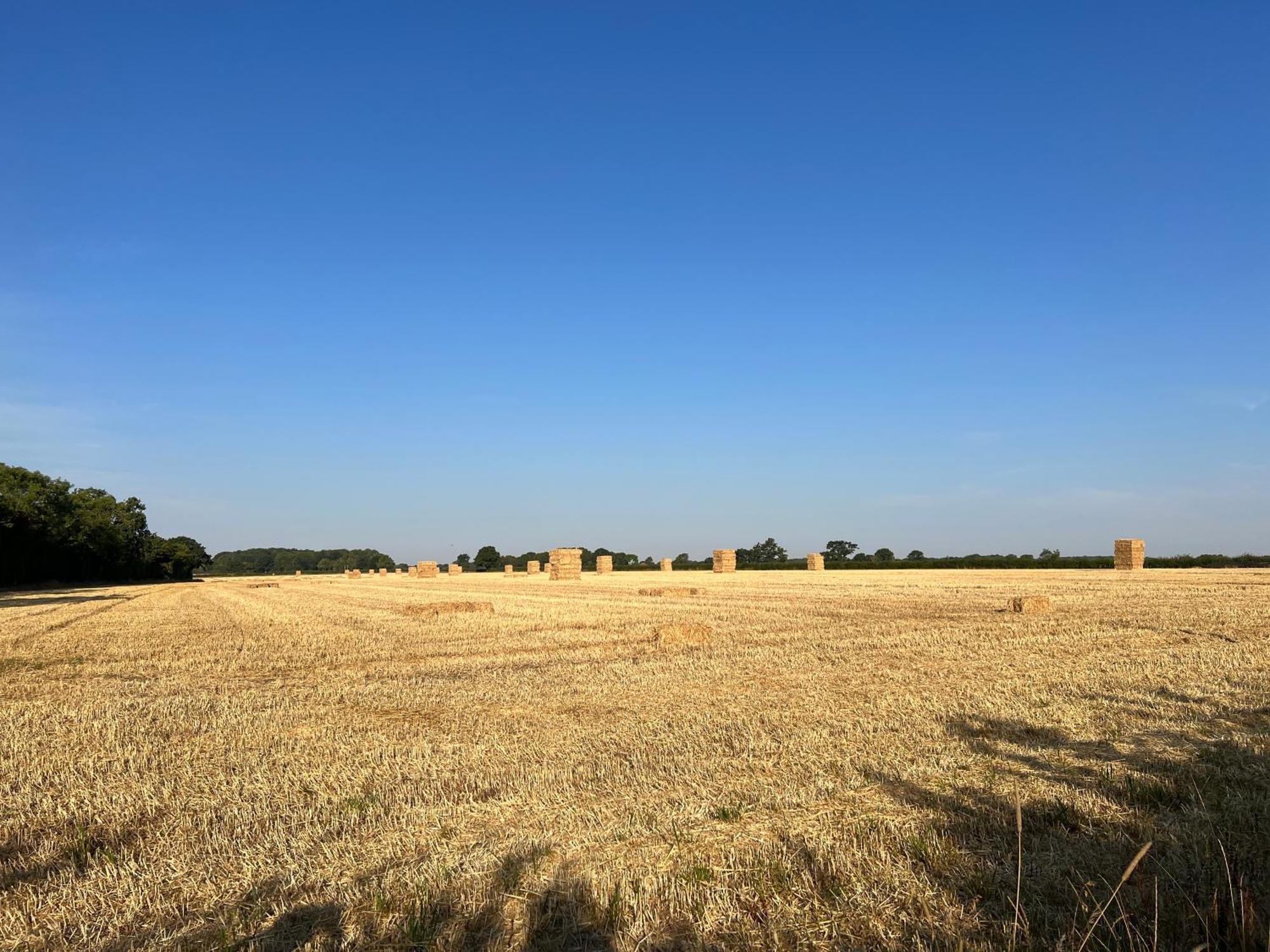 The Old Stable At Manor House, Middleton Middleton (Saxmundham)
